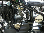 IMGP6223.jpg