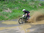 IMGP6364.jpg