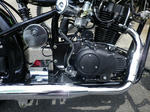 IMGP6593.jpg