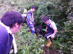 IMGP6893.jpg