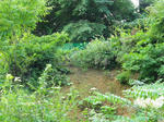 IMGP6907.jpg
