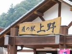 IMGP7095.jpg