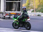 IMGP7204.jpg