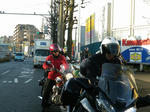 IMGP7503.jpg