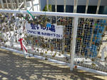 IMGP7516.jpg
