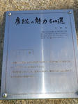 IMGP7541.jpg