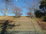 20121216_103410.jpg
