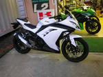 IMGP7607.jpg