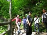 IMGP8202.jpg