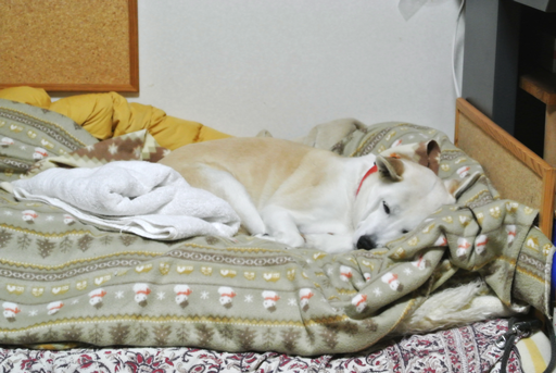 DSC_0013.png