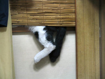 マル 足だけ落ちてるよ