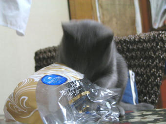袋とぎん１