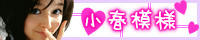 koharumoyou_banner.jpg