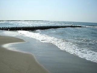 海っぽい