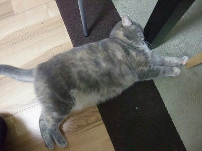 DSCF0577.jpg