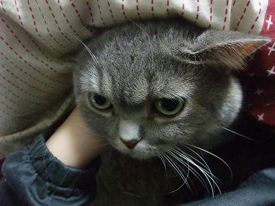 DSCF1655.jpg