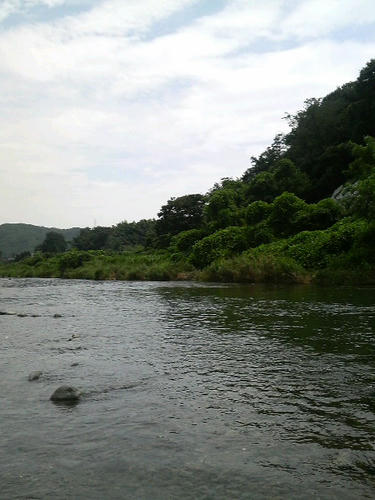2009082414400000.jpg