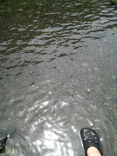 2009082415000000.jpg