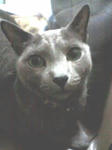 080517_1944~001.jpg