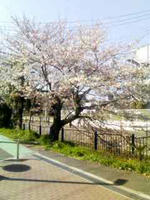 090402_1435~001.jpg
