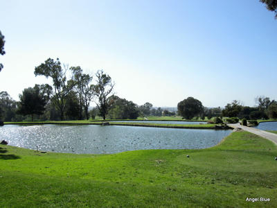 Chester Washington Golf Course