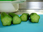 P1000081.jpg