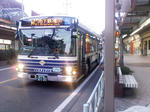 ns141.jpg