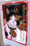 ねずみ年なのにねこのポスター(^｡^)