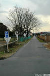 名鉄バス専用道-4