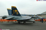 NF300