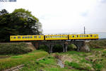 眼鏡橋-1