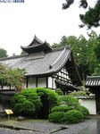 仙台5