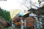 081123叡電1-12
