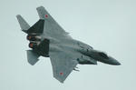 F-15J