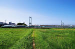 090815平城宮3