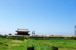 090815平城宮7