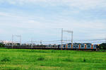 090815平城宮9