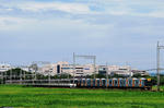 090815平城宮17