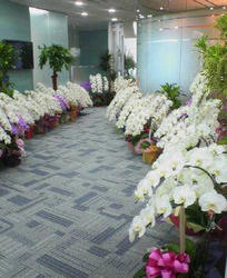 NEC_0190.JPG