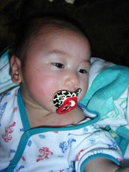 20080429osyaburi.JPG