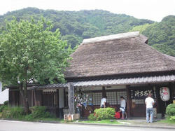 SHIZUOKA.JPG