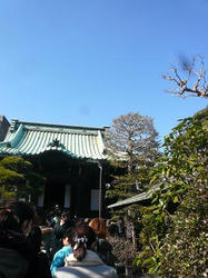 P1050335.JPG