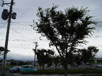 P7140016_resize1.jpg