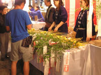 P7230047_resize1.jpg