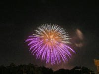 hinokunimaturi.jpg