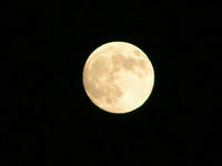 PA060013_resize1.jpg