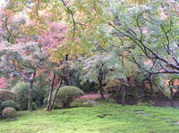 PB190024_resize1.jpg