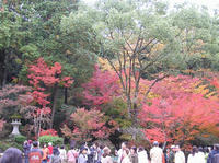 PB190053_resize1.jpg