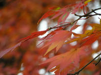PB190063_resize1.jpg