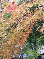 PB190084_resize1.jpg